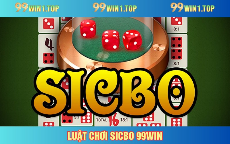 Luật đấu cần hiểu rõ cho thành viên cược