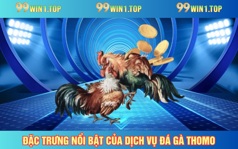 Xem đá gà chất lượng nhất tại 99WIN