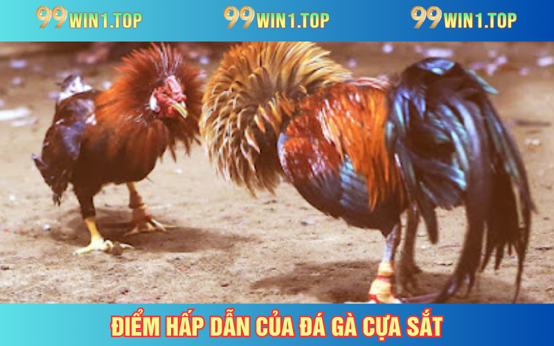 Bạn sẽ có nhiều trải nghiệm tuyệt vời hơn bộ môn truyền thống