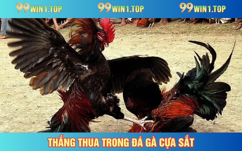 Cách nhận định thắng thua khi trải nghiệm trận đấu