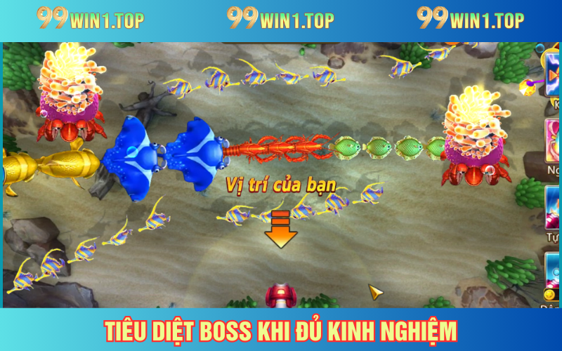 Tiêu diệt boss khi đủ khả năng