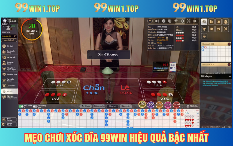 Tips cược xóc đĩa hiệu quả và dễ áp dụng