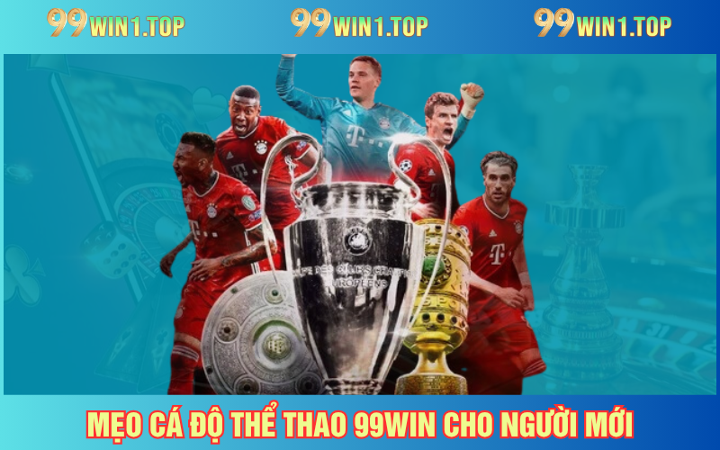 Tips cược sports dễ dàng áp dụng nhất