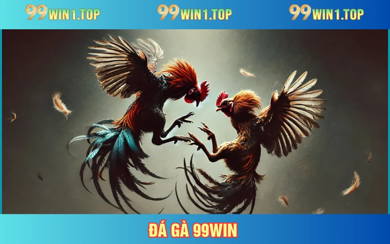 Đá Gà 99WIN