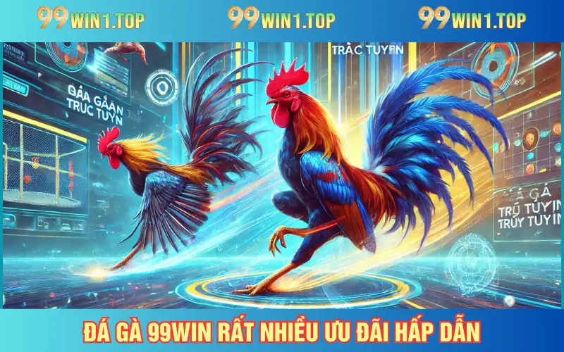 Vô vàn ưu đãi dành cho thành viên tham gia đá gà 99WIN
